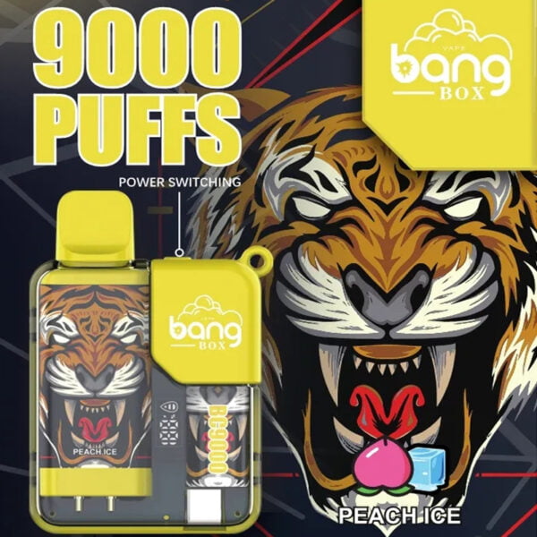 Bang Box 9000 Puffs 0% 2% 3% 5% Никотиновая перезаряжаемая светодиодная сигарета с дисплеем для сигарет Одноразовая вейп оптом - BeerVape - 2