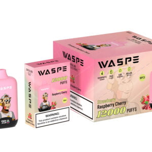 WASPE 12000 PUFFS Digital Box 0% 2% 3% 5% Nikotin engangsvape Engros - BeerVape - 12