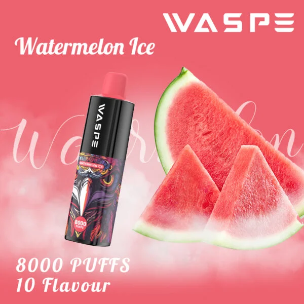 WASPE 8000 PUFFS 0% 2% 3% 5% Nicotina Vape desechable al por mayor - BeerVape - 4