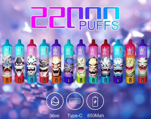Bang Beach 22000 Puffs 0% 2% 3% 5% Recarregável com baixo teor de nicotina em massa Compre caneta Vape descartável no atacado - BeerVape - 1