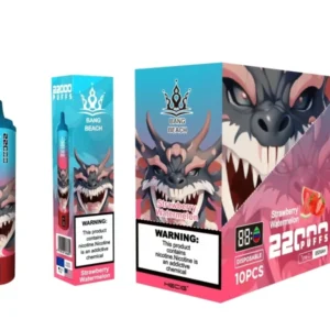 Bang Beach 22000 Puffs 0% 2% 3% 5% Recarregável com baixo teor de nicotina em massa Compre caneta Vape descartável no atacado - BeerVape - 13