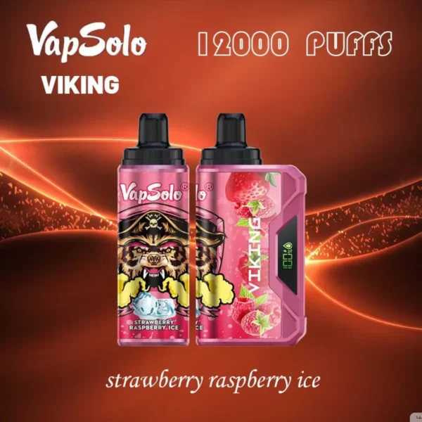 VapSolo Viking 12000 Puffs 2% 5% Nízkonikotinové dobíjecí jednorázové vapky Pen Hromadně Koupit Velkoobchod – BeerVape – 6